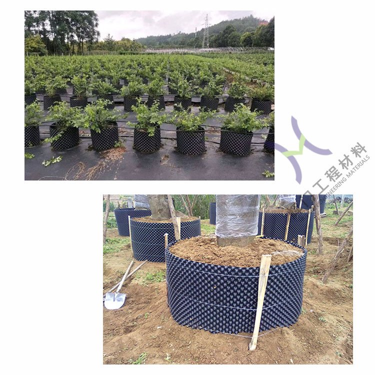 育苗塑料控根容器 黑色花圃果树种植容器 生根花盆
